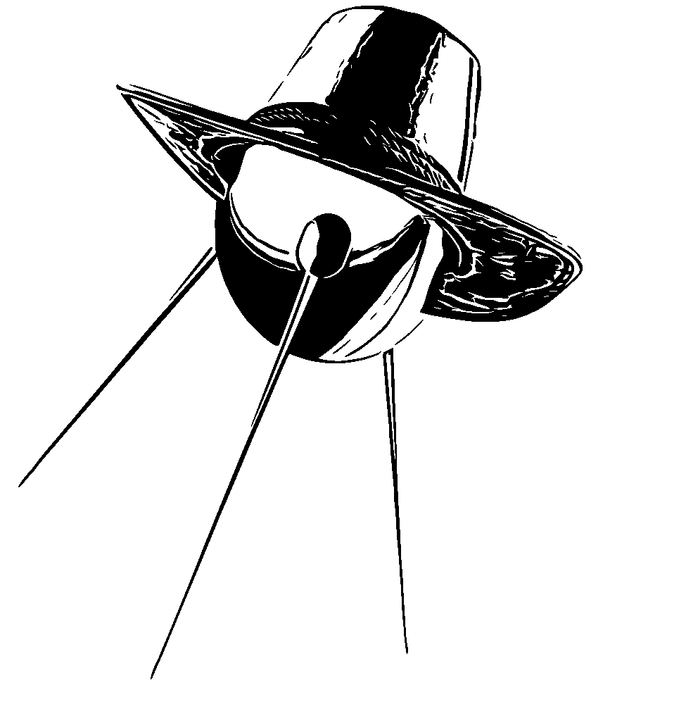 Sputnik in Stetson Logo